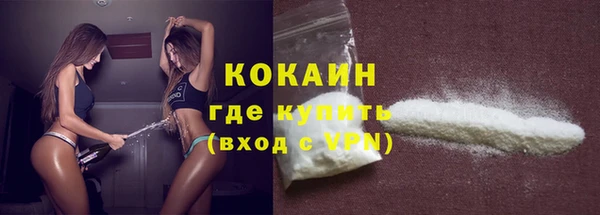прущие грибы Баксан