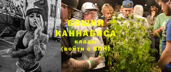 прущие грибы Баксан