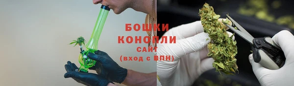 прущие грибы Баксан