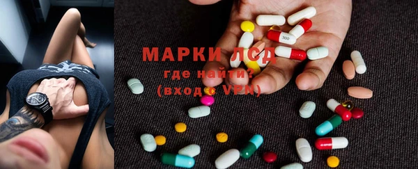 прущие грибы Баксан