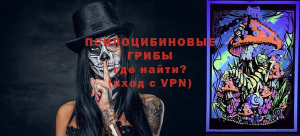 прущие грибы Баксан