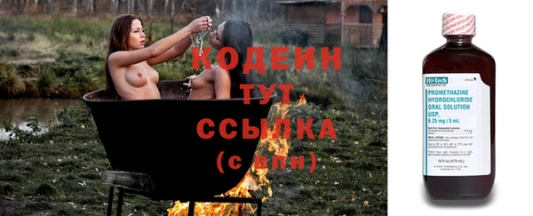 прущие грибы Баксан