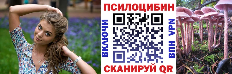 где купить наркоту  Городовиковск  Псилоцибиновые грибы MAGIC MUSHROOMS 